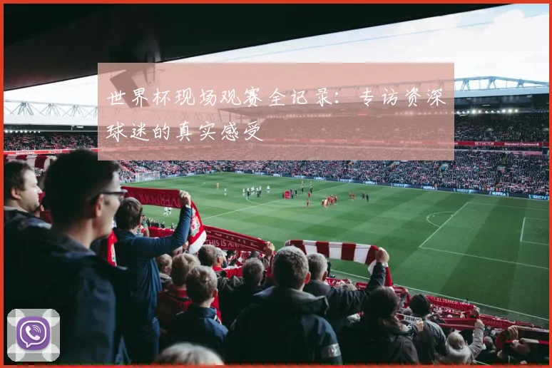 世界杯现场观赛全记录：专访资深球迷的真实感受