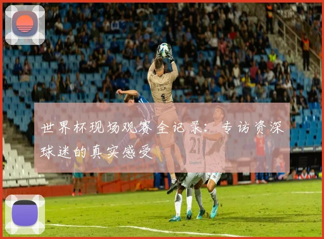 世界杯现场观赛全记录：专访资深球迷的真实感受