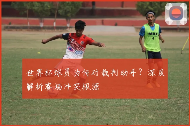 世界杯球员为何对裁判动手？深度解析赛场冲突根源