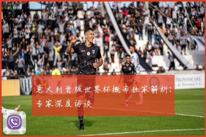 意大利晋级世界杯概率独家解析：专家深度访谈